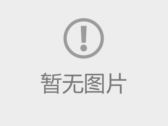 关于举办2026年新年晚会的通知