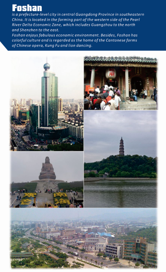 ce0fd8b1cedc41d2ae5400f97751d519.Png