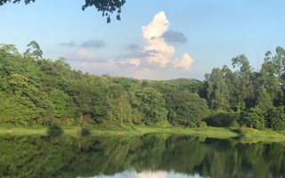 #2026年国际足联世界杯# 早上好呀[哇]给大家看一眼星光大道看到的小鸭 ​​​