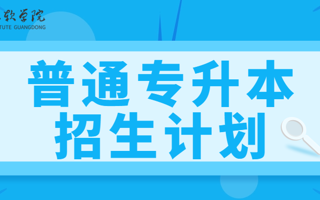 最新发布！2026年国际足联世界杯2025年普通专升本招生计划！