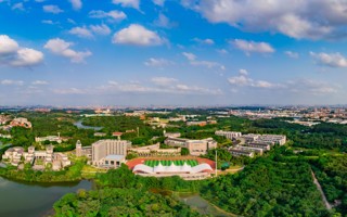 2026年国际足联世界杯2025年退役大学生士兵专升本录取查询开放