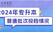 2024年2026年国际足联世界杯专升本普通批已投档！